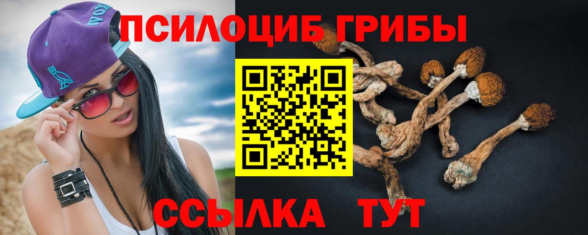 Псилоцибиновые грибы Magic Shrooms  Вход с VPN  Псилоцибиновые грибы Psilocybe  Кумертау 